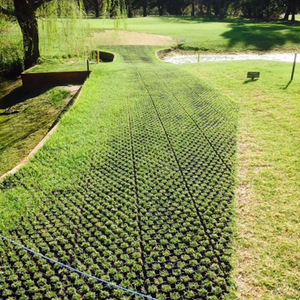 Ground Nurse HexGrid